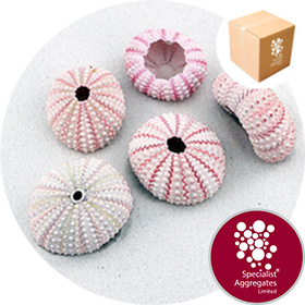 Buy Sea Urchin Pink 3 5 5cm Specialist Aggregates Ltd